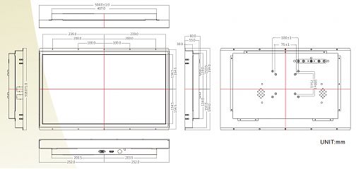 Промышленный монитор W22L100-OFA3