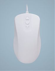 Мышь оптическая защищённая AK-PMH12OB-US-W