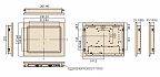 Промышленный монитор IDS-3210EG-23SVA1E
