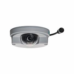Камера VPort P07-2V80M