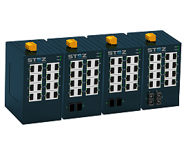 STEZ1016-2SFP-T